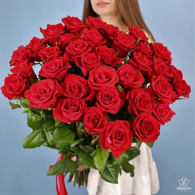 ❀ Купить Розы Сорта True Love (Тру Лав) ❁ Купить Цветы В Майкопе