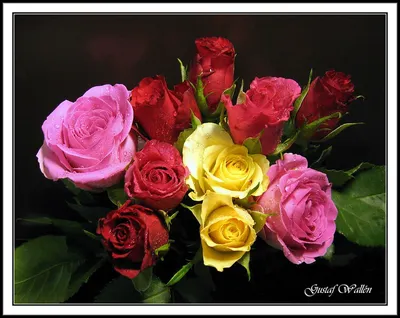 Купить букет из гортензий, кустовых роз и пионовидных роз во Владивостоке  за 6600 рублей