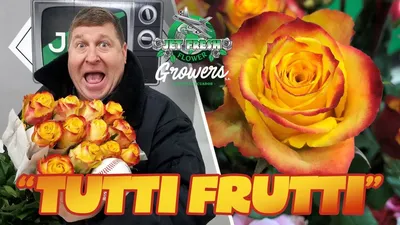 Tutti Frutti - Flower Bar