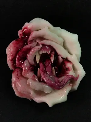Красивая Кровавая Белая Роза Ножом Белом Фоне Кровавая Роза Концептуальное  стоковое фото ©amber_85 375024092