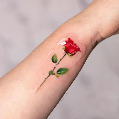 фото тату роза с кровью 19.03.2019 №018 - rose tattoo with blood -  tatufoto.com - tatufoto.com