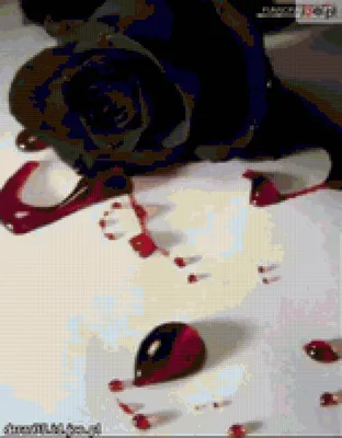 Red Moss Tattoo - Цвет танца, пожара и даже крови. Розы... | Facebook