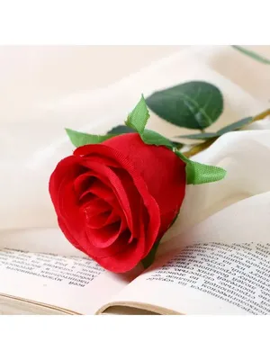 Красная роза ... рубином в бутоне... Взгляд приковала - живая, как кровь...  :: Надежда Млат – Социальная сеть ФотоКто
