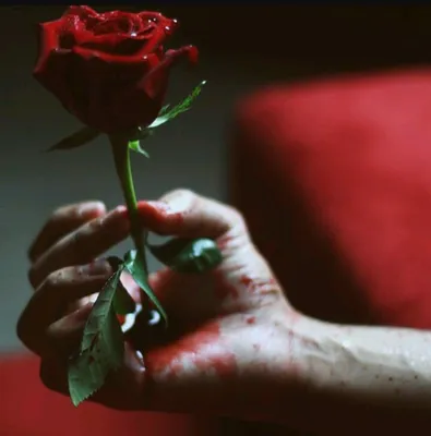 Картинки крови Розы цепи Руки