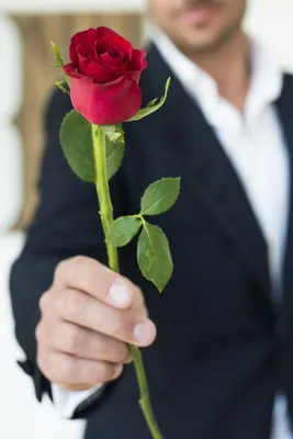 Красная роза в руке, зимний день Фоновый фон Рука держит розу в зимний день  Любовь Стоковое Фото - изображение насчитывающей славно, снежок: 165751926