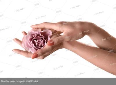 Тату роза на руке у девушек значение. | Анастасия Едигарьева | Дзен