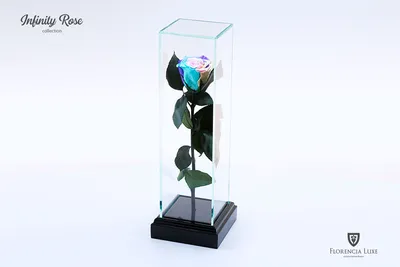 Роза в стекле Natural Flower Products SSR (7 см) - купить в Москве, цены на  Мегамаркет