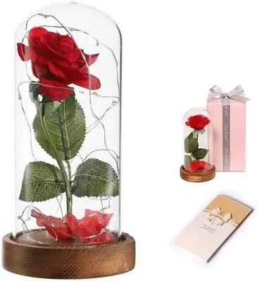 Красная роза в высоком стакане (живые цветы в стекле) купить в Москве по  цене 1 900 руб. – интернет магазин present.ru