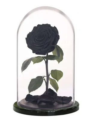 Стеклянная роза стоит в изящной …» — создано в Шедевруме