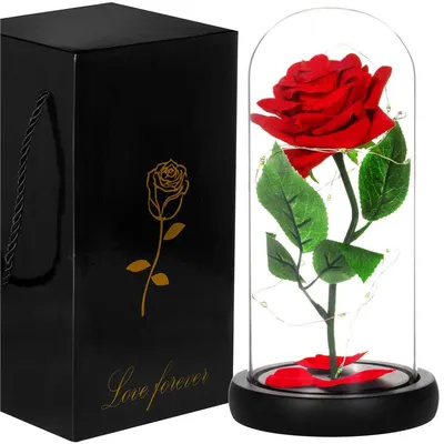 Роза в колбе DELUXE-долговечная, живая роза (в стекле) под куполом  (колпаком)из Красавица и Чудовище The One Rose 10178682 в интернет-магазине  Wildberries.ru : @mysspx Nika Rovinskaya wish
