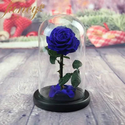 Стабилизированные цветы в стекле The Rose Dome Роза, 7 см, 700 гр купить по  выгодной цене в интернет-магазине OZON (1295013973)