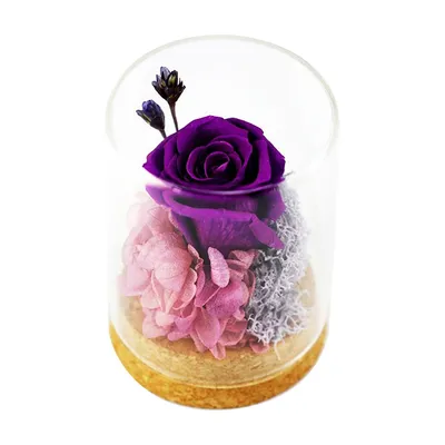 Вечная роза в стакане - сияет цена | pigu.lt