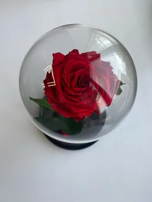 Вечная роза в стекле Springos HA5155 (5907719445915) (ID#1963477483), цена:  1091 ₴, купить на Prom.ua