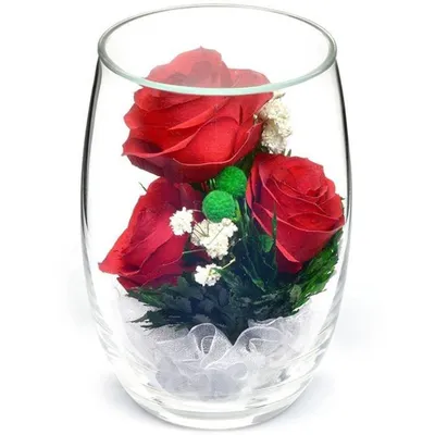 Купить Стабилизированный настоящий цветок розы Вечная роза в стекле  Ароматизированный подарок вечной розы для женщин | Joom