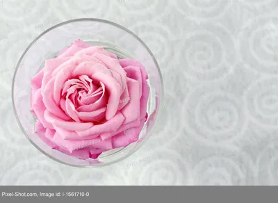 Искусственный цветок композиция мини Роза темно-розовая в стекле с водой 14  см — цена в Ижевске, купить в интернет-магазине, характеристики и отзывы,  фото