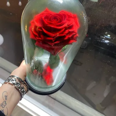 Стабилизированные цветы в стекле Роза, 6 см, 150 гр, 1 шт купить по  выгодной цене в интернет-магазине OZON (335326148)