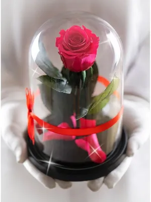 Невянущие розы в стекле под куполом The One Rose Букеты из сухих сушеных  цветов роз ваза