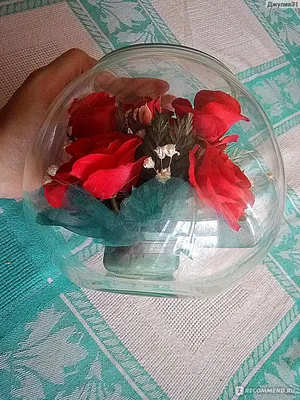 Роза в стекле, Цветы и подарки в Тбилиси, купить по цене 350 GEL, Цветы  поштучно в Flowers Margarita с доставкой | Flowwow