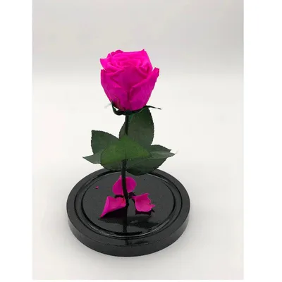 Стабилизированная Роза в стекле \"Белая\" - Bloom de Fleur - Букеты, цветы,  заказать и купить букет на Кипре
