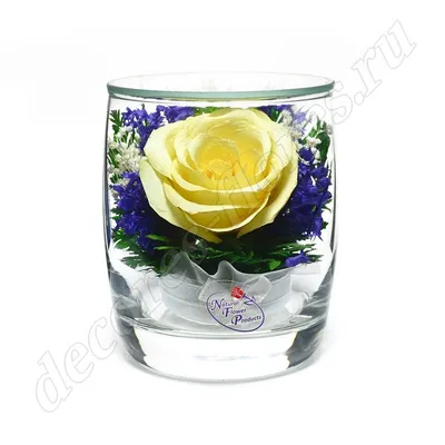 Купить розы в стеклянной колбе в Хабаровске, заказать вечную розу - Город  цветов