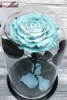Розовая роза из стекла в вазе,1 цветок, средний размер - Imperialglass