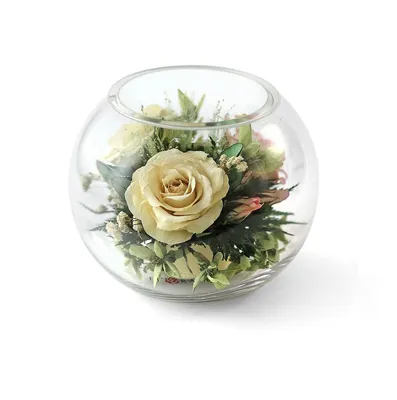 Стабилизированные цветы в стекле CoMMoTIoN Роза, 20 см, 300 гр, 1 шт