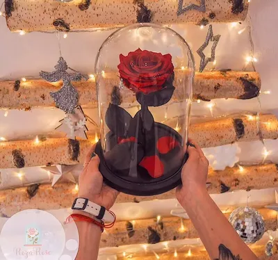 Купить Фуксия розу в колбе из стекла в интернет-магазине в Москве