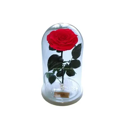 31 роза в стекле в стекле, вакуум*