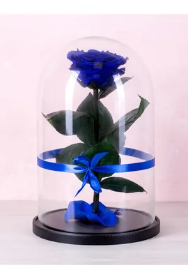 Fiora, Айвори и светло-розовые розы в круглой вазе – Интернет-магазин  цветов в стекле \"Фионита\"
