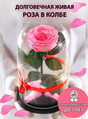 Тройная роза в стекле колбе на батарейках с LED подсветкой Красная подарок  для девушки на Новый год Рождество (ID#2038625866), цена: 699 ₴, купить на  Prom.ua