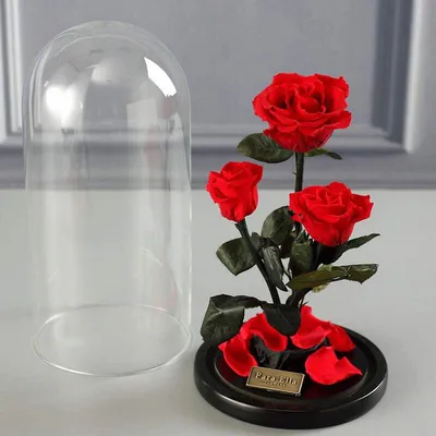 Стеклянная роза со светодиодной подсветкой Роза в стекле Forever Rose  Flower Подарок для женщин на День матери – лучшие товары в онлайн-магазине  Джум Гик