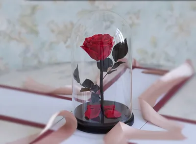 Стабилизированные цветы в стекле The Rose Dome Роза, 11 см, 700 гр купить  по выгодной цене в интернет-магазине OZON (205793518)