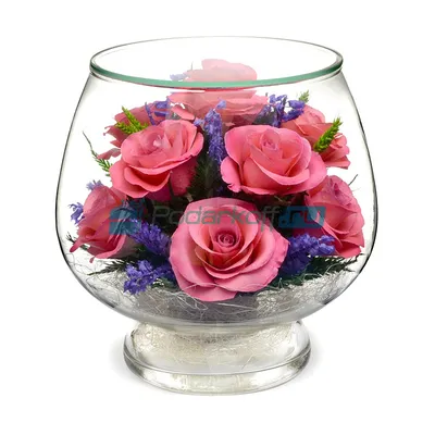 Стабилизированные цветы в стекле The Rose Dome Роза, 8 см, 700 гр купить по  выгодной цене в интернет-магазине OZON (205792914)