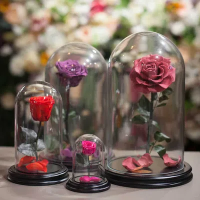 Стабилизированные цветы в колбе \"Магия\" | композиция из красной розы в  вакууме — купить в интернет-магазине по низкой цене на Яндекс Маркете
