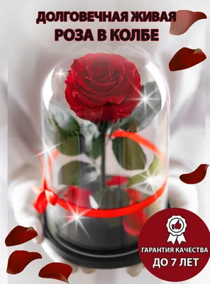 Цветы в вакууме \"Розовые розы\" — купить в интернет-магазине по низкой цене  на Яндекс Маркете