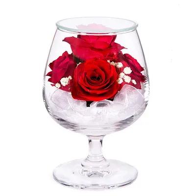 Розы в стекле GSRo (12 см) - купить в Москве, цены на Мегамаркет