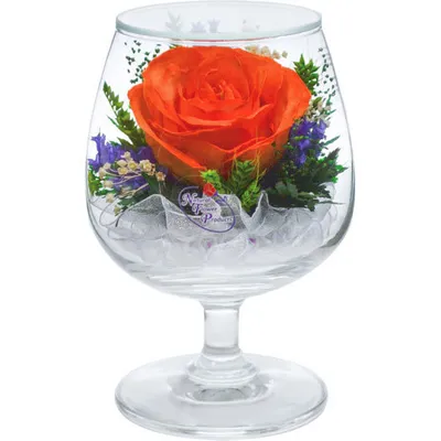 Стабилизированная желтая роза в вакууме, Цветы и подарки в Уфе, купить по  цене 2327 RUB, Стабилизированные цветы в ЦВЕТЫ и ПОДАРКИ на Менделеева с  доставкой | Flowwow