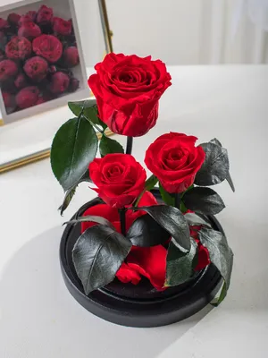 Роза в стекле CuSr1 (8,5 см) | AliExpress