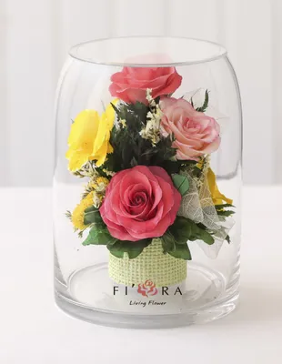 Цветы в стекле в вакууме 'Берта бело-красная', розы: купить в  интернет-магазине сувениров в Москве