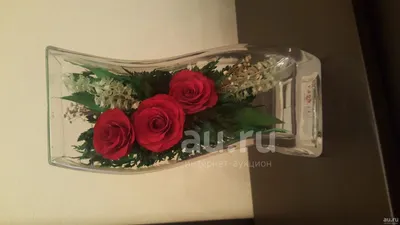 Роза в колбе в Москве - купить от 900 руб