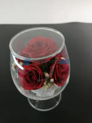 Розы в колбе TRIO DELUXE- долговечные розы (в стекле) под куполом  (колпаком)из Красавица и Чудовище The One Rose | Купить с доставкой в  интернет-магазине kandi.ru