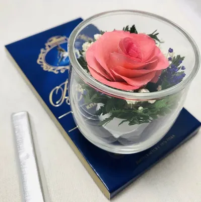 Fiora, Айвори розы с розоватыми краями в большой круглой вазе –  Интернет-магазин цветов в стекле \"Фионита\"