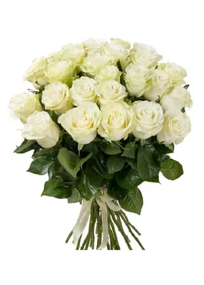 Купить Роза (Вайт Наоми) FunRose Собери Сам купить букеты и цветы в  магазине Москвы FunRose.ru