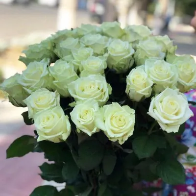 Купить 21 Белую розу White Naomi 90см - Доставка – QUP.BY