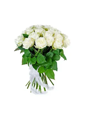 Купить 21 Белую розу White Naomi 40см - Доставка – QUP.BY