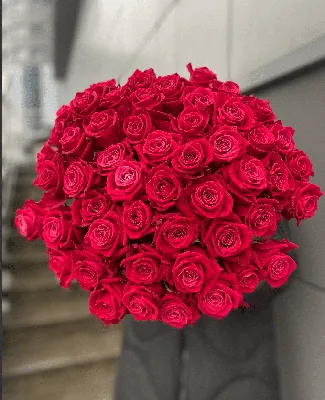 Купить 51 розу белого цвета White Naomi с доставкой по Днепру в  интернет-магазине Royal-Flowers