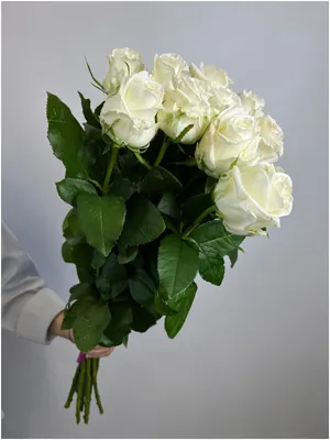 Розы Харьков | Доставка роз - Купить, заказать поштучно розы | VIAFLOR |  Розы, Доставка цветов, Букет роз