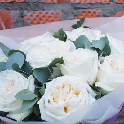 Купить букет 51 роза вайт о'хара с доставкой по Москве | zhflowers.ru