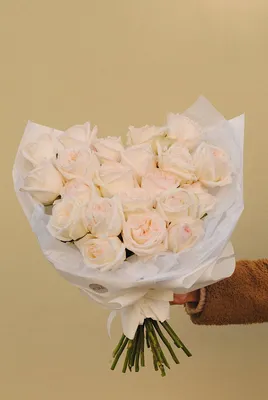 Элли Драй: пионовидные розы Вайт О'Хара по цене 5940 ₽ - купить в RoseMarkt  с доставкой по Санкт-Петербургу