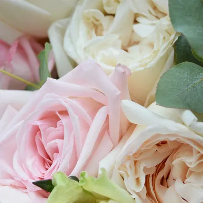 101 пионовидная роза Вайт О'Хара в корзине купить за 37 990 руб. с  круглосуточной доставкой | Мосцветторгком